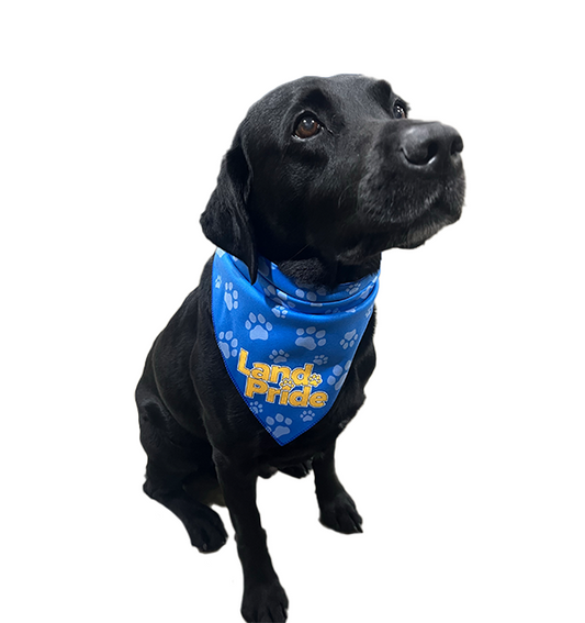 Land Pride BanDoggie Cooling Pet Bandana